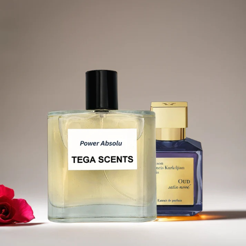 Power Absolu Extrait De Parfum 100ml