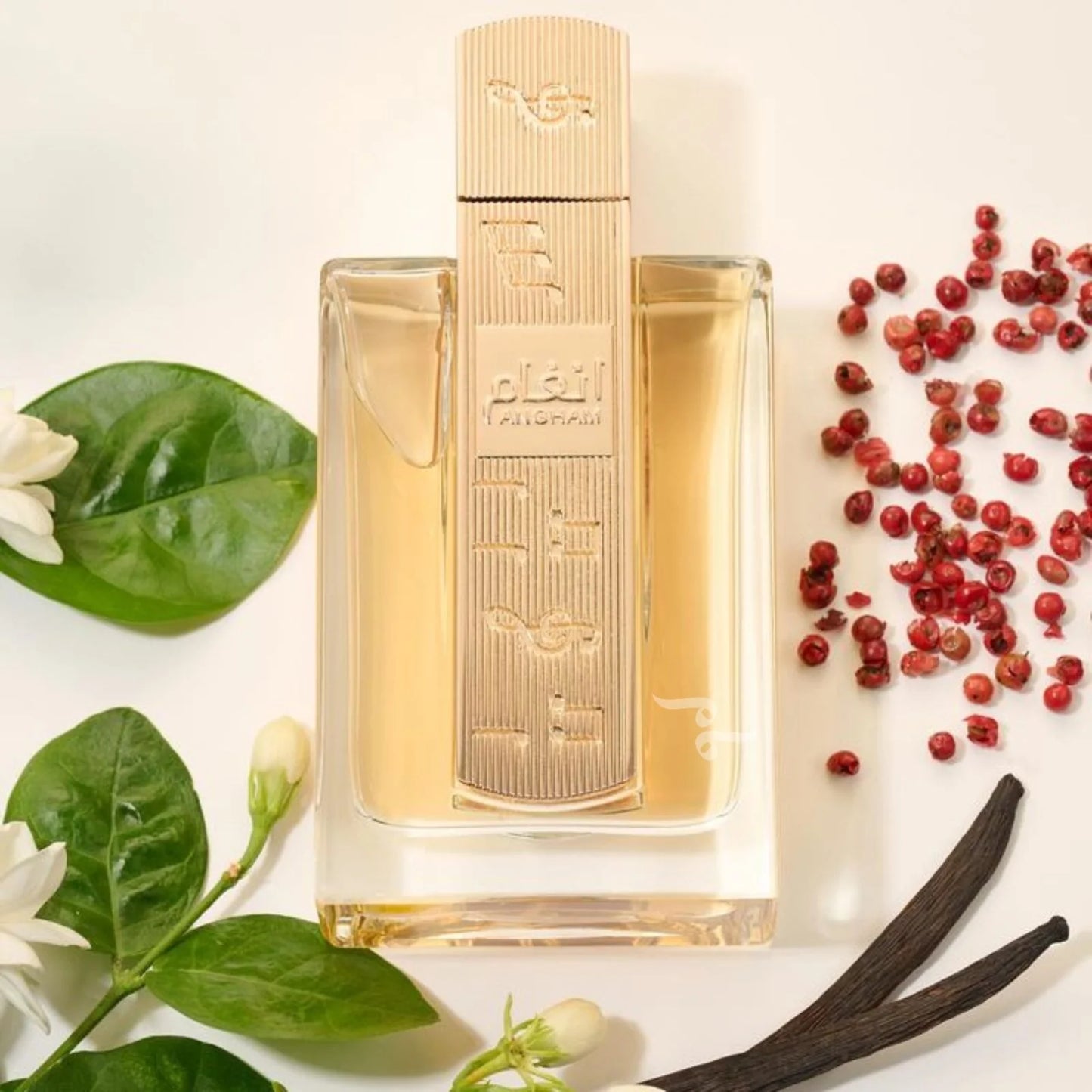 Angham by Lattafa 100ml EDP