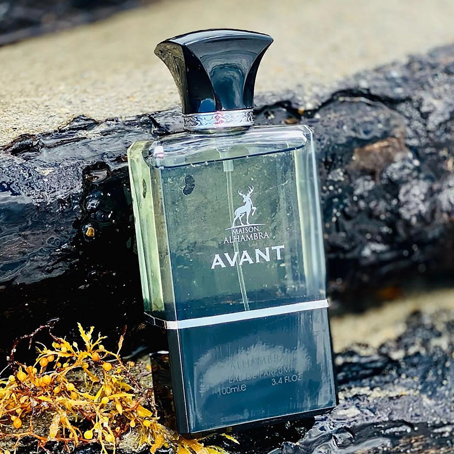 AVANT by Maison Alhambra 100ml - Tega Scents