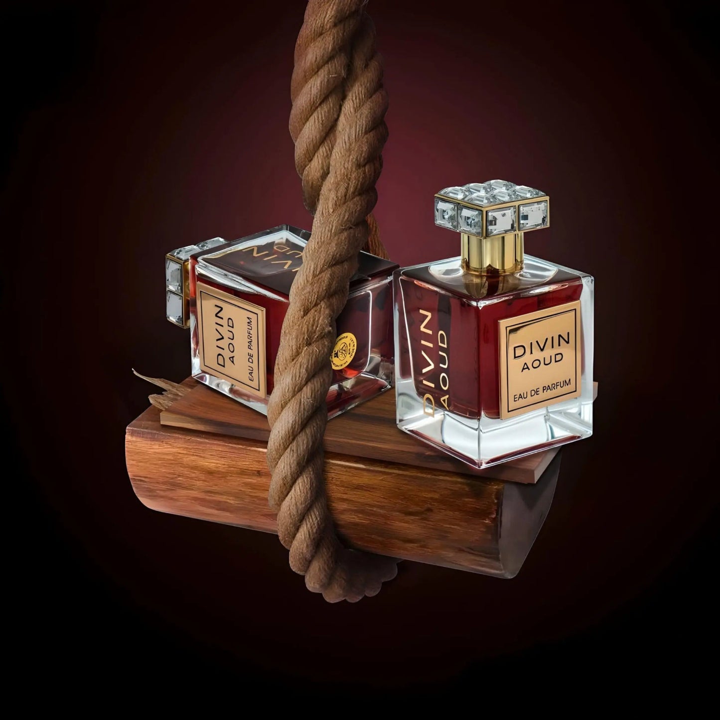 Divin Aoud 100ml EDP by FA Paris (Fragrance World) - Tega Scents