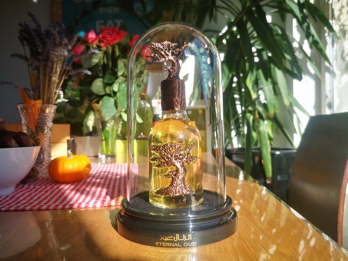 ETERNAL OUD BY LATTAFA PRIDE 100ml - Tega Scents