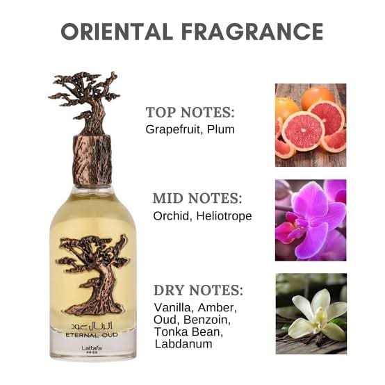 ETERNAL OUD BY LATTAFA PRIDE 100ml - Tega Scents