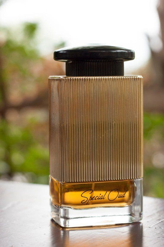 SPECIAL OUD BY FRAGRANCE WORLD - Tega Scents