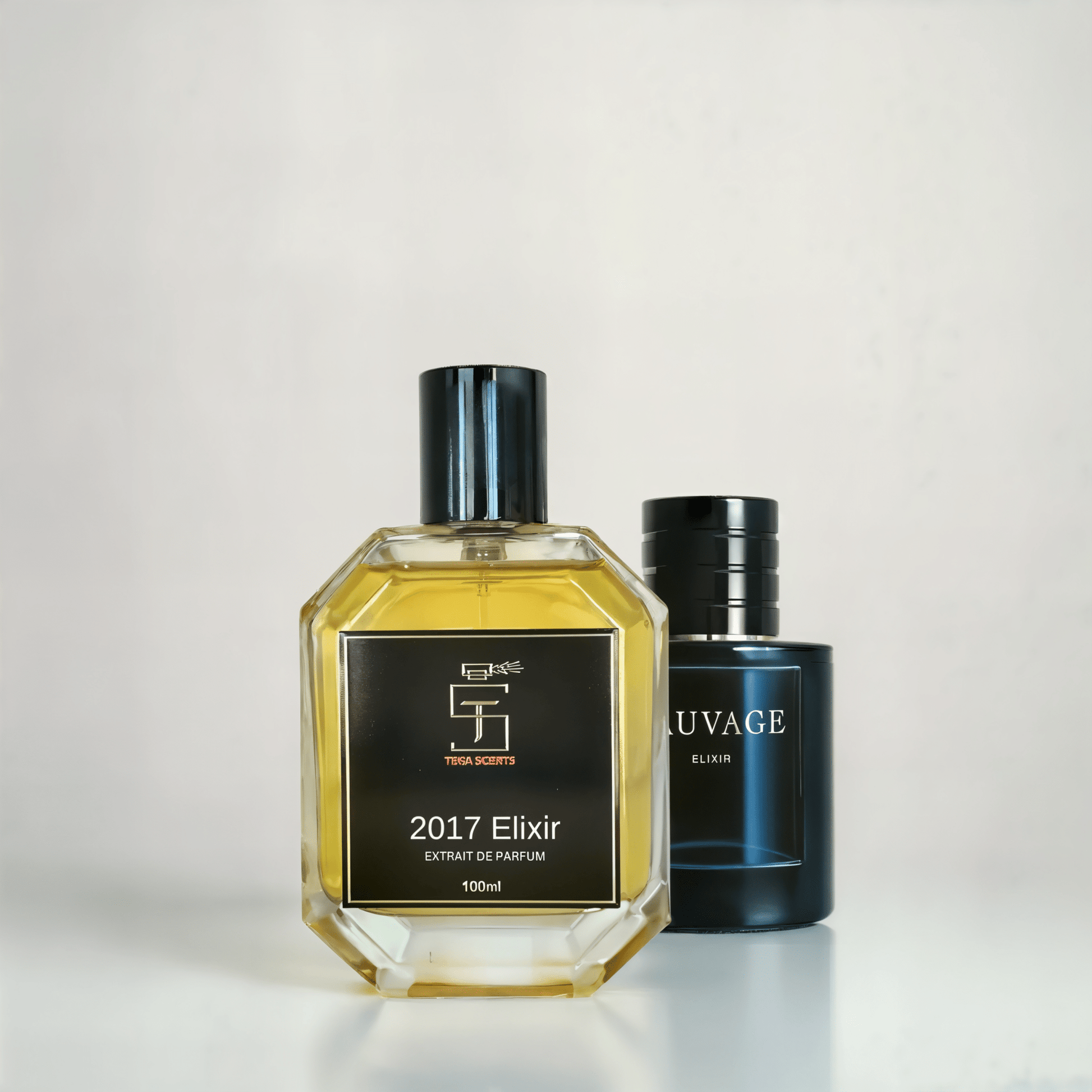 2017 Elixir Extrait de Parfum - Tega Scents